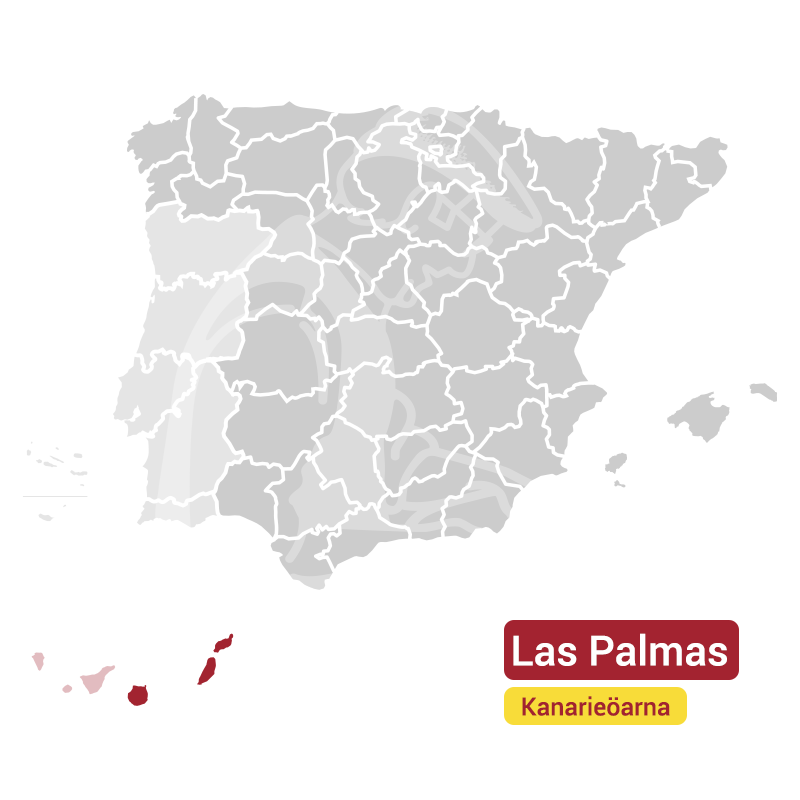 Canary-Palmas